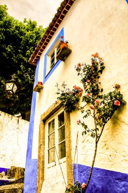 Portekiz 'in eski Obidos köyünün dar ve renkli sokakları, görkemli cepheleri, pencereleri ve balkonları