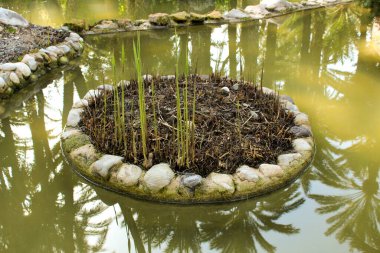 Fountain in the garden surrounded by palm trees in Elche, Alicante, Spain