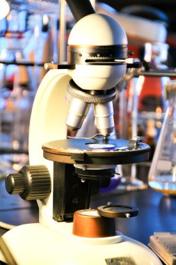 İspanya 'daki bir laboratuarda cam test tüpleri, tencereler ve mikroskop.