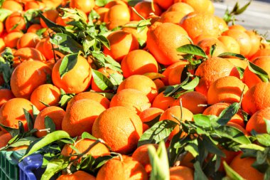 Santa Pola, Alicante, İspanya 'da bir pazarda satılık portakal.