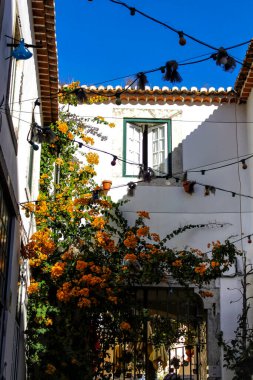 Lizbon, Portekiz 'de renkli ve tipik görkemli eski evler