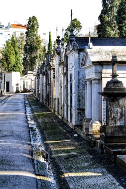 İspanya 'da güneşli bir günde eski ve yalnız bir mezarlık