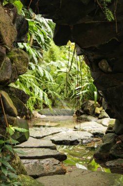 Lizbon, Portekiz 'deki bahçe göleti üzerinde taş patika.