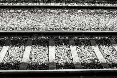 Lizbon 'daki Orient Tren İstasyonu' nda raylar. Monokrom Fotoğrafçılık. Calatrava bina yapısı tasarladı