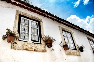 Lizbon 'da eski ve renkli bir cephe Bitkiler ve antika fenerlerle