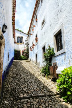 Portekiz 'in eski Obidos köyünün dar ve renkli sokakları, görkemli cepheleri, pencereleri ve balkonları