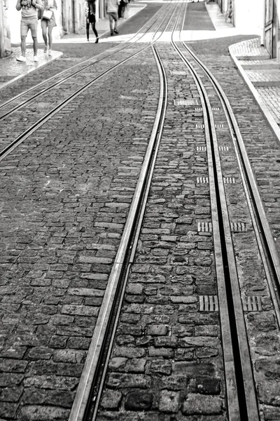 Ліваторська Залізниця Лісабоні Португалія Монохромна Фотографія — стокове фото