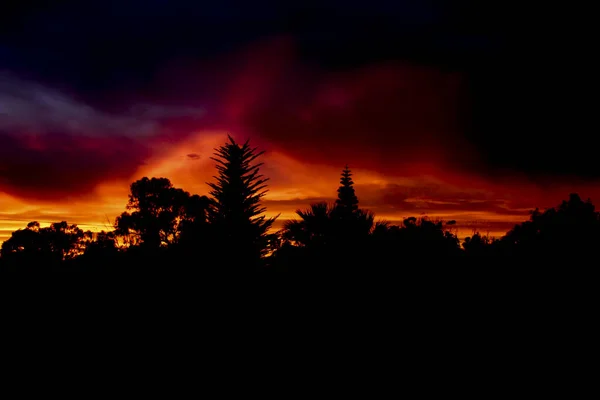 Espectacular Puesta Sol Con Color Fuego Bosque — Foto de Stock