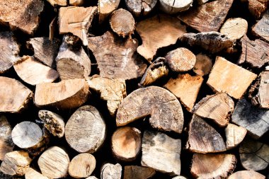 İspanya 'da şömineler için istiflenmiş ağaç kütükleri.