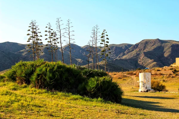 西班牙阿尔梅利亚加塔角的绿色景观 — 图库照片
