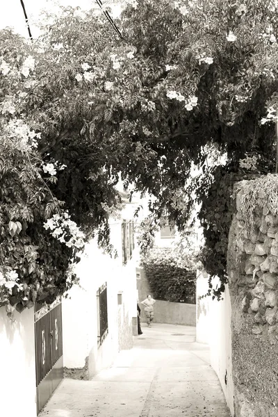 Ulice Lucainena Las Torres Andalusie Španělsko — Stock fotografie