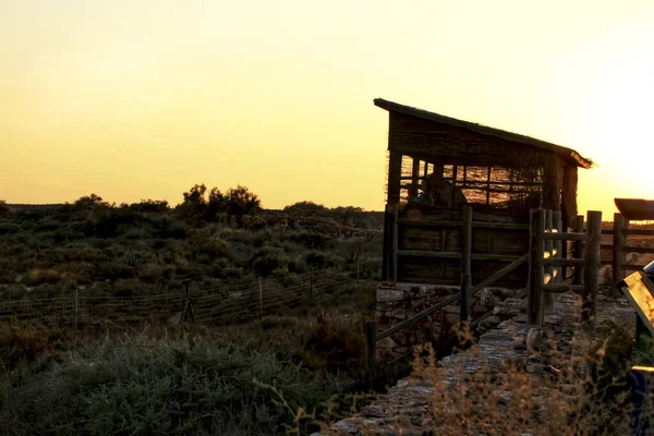 Attention Aux Oiseaux Migrateurs Dans Les Zones Humides Cabo Gata — Photo