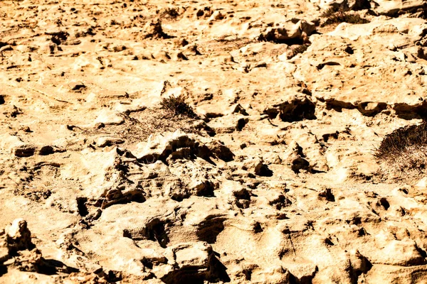 Fossilized Dune Texture Cabo Gata Almeria Spain — Stock fotografie