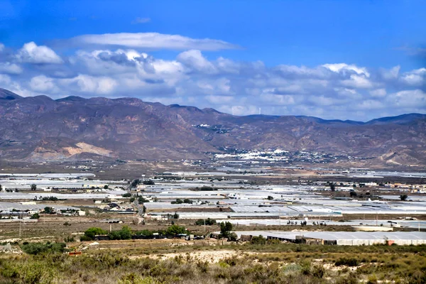 西班牙阿尔梅利亚Cabo Gata番茄温室全景 — 图库照片