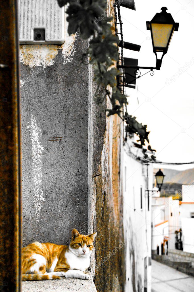 Narrow streets and white facades of Lucainena de Las Torres, Almeria, Spain