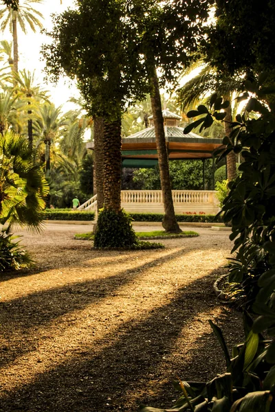 Elche Deki Güzel Yapraklı Belediye Parkı Palmiye Ağaçları Arasında Elche — Stok fotoğraf