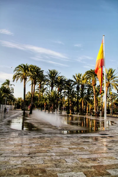 Fontanna Otoczona Palmami Kolosalną Hiszpańską Flagą Elche Alicante Hiszpania — Zdjęcie stockowe