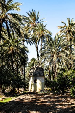 Elche, Alicante 'deki palmiye bahçelerinin arasında terk edilmiş taş güvercin.
