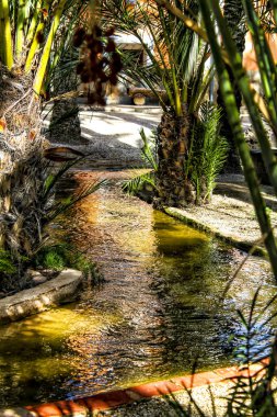 Elche, Alicante 'de palmiye bahçesi ile palmiye bahçesi arasındaki hendek.