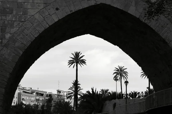 Oude Santa Teresa Brug Helling Van Vinalopo Rivier Elche — Stockfoto