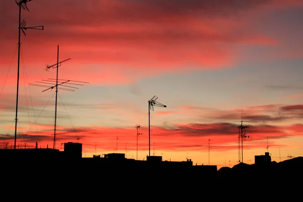 Bel Tramonto Con Cielo Colorato Nella Città Elche Alicante Spagna — Foto Stock