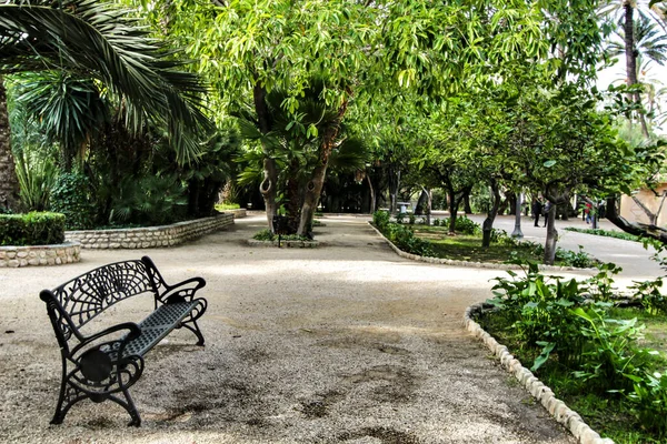 ヤシの木の間のエルチェの美しい緑豊かな市営公園 エルチェ アリカンテ スペイン — ストック写真