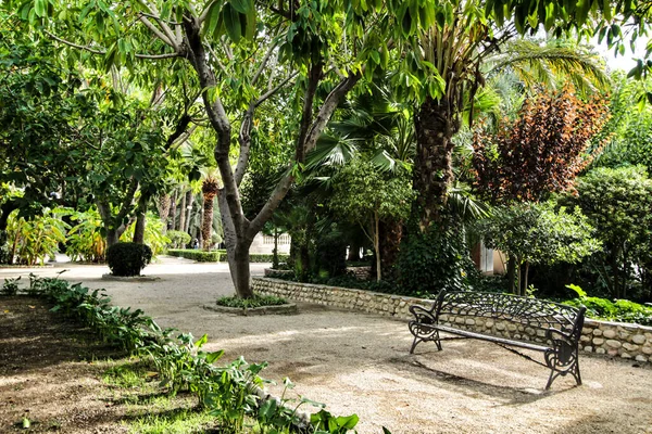 Mooi Groen Gemeentelijk Park Elche Tussen Palmbomen Elche Alicante Spanje — Stockfoto