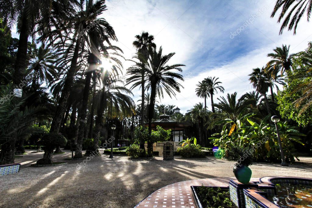 Beautiful and leafy municipal park in Elche between palm trees. Elche, Alicante, Spain.