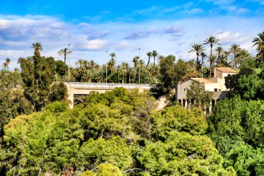 Palmiye koruluğunun manzarası ve Sonbaharda Elche 'deki Vinalopo Nehri' nin yamacı