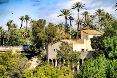 Palmiye koruluğunun manzarası ve Sonbaharda Elche 'deki Vinalopo Nehri' nin yamacı