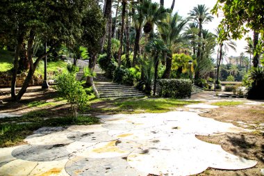 Palmiye koruluğunun manzarası ve Sonbaharda Elche 'deki Vinalopo Nehri' nin yamacı