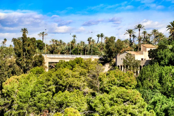 Palmenhainlandschaft Und Die Hänge Des Flusses Vinalopo Elche Herbst — Stockfoto