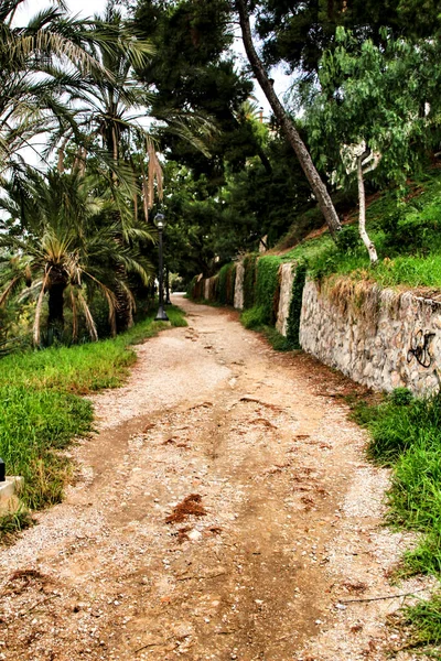 Landschaft Hang Des Flusses Vinalopo Elche Mit Seinen Brücken Und — Stockfoto