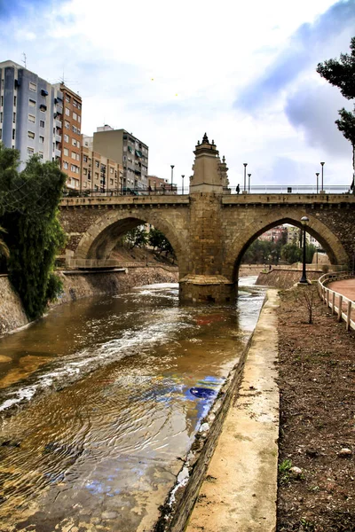 Paisagem Encosta Rio Vinalopo Elche Com Suas Pontes Vegetação Verde — Fotografia de Stock