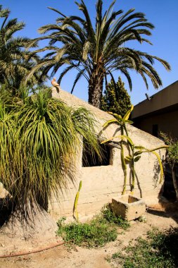 Elche, Alicante, İspanya - 8 Mart 2021: Pusol Elche Müzesi 'nde sergilenen gerçek büyüklükte bir çiftlik evi