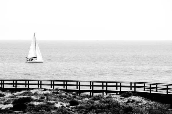 Plachetnice Plující Podél Pobřeží Slunečného Jarního Dne Alicante Španělsko Monochromatický — Stock fotografie