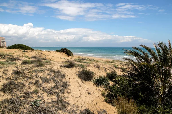 Vackert Landskap Sanddyner Och Vegetation Arenales Del Sol Stranden Alicante — Stockfoto