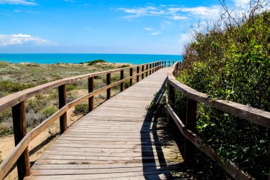 İspanya 'nın güneyindeki Alicante' de güzel bir sabahta Arenales del Sol plajına tahta yol.