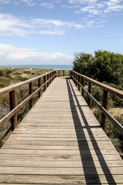 스페인 알리칸 아름다운 아침에 아레날 레스델 해변으로 나무로 — 스톡 사진