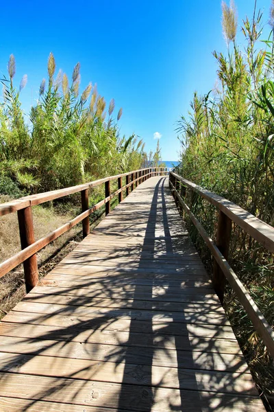 Деревянная Дорожка Пляжу Arenales Del Sol Красивое Утро Аликанте Южная — стоковое фото