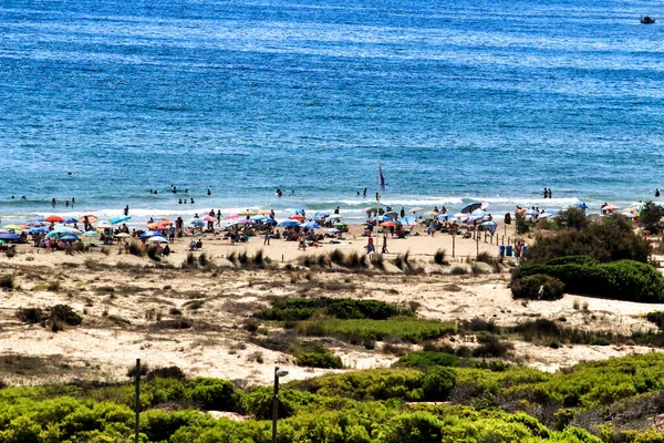 西班牙阿利坎特海岸的卡拉瓦西海滩上生长着绿色的植被和沙丘 — 图库照片