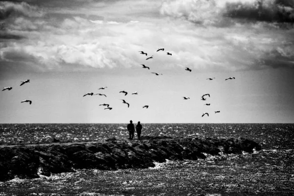 在西班牙圣波拉 被海鸥环绕在阳光下的防波堤上行走的一天 — 图库照片