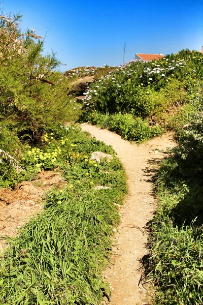 Путь Между Зеленой Растительностью Цветами Голубым Небом Весной Деревне Азеньяс — стоковое фото