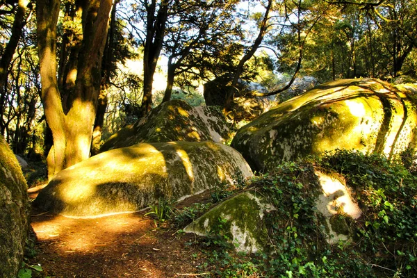 Gyönyörű Leveles Erdő Kolosszális Sziklaformációkkal Fenséges Fákkal Lágy Napsugarakkal Lisszaboni — Stock Fotó