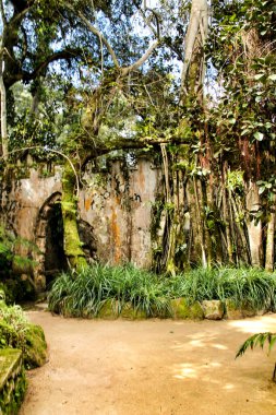 Portekiz, Sintra 'nın güzel yapraklı bahçesinde antik taş kalıntıları.