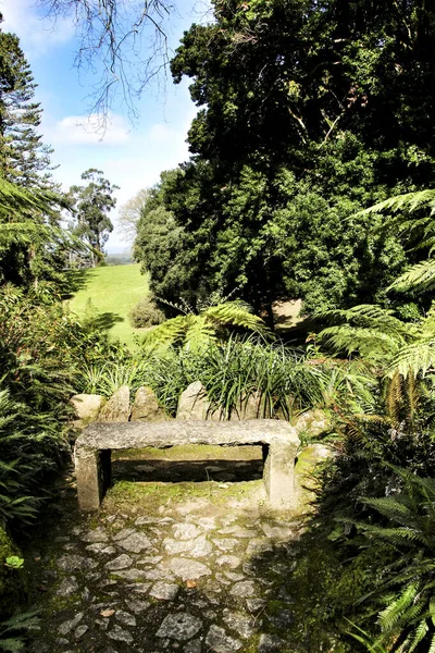 Stenen Bank Een Groene Tuin Met Grote Oude Bomen Sintra — Stockfoto