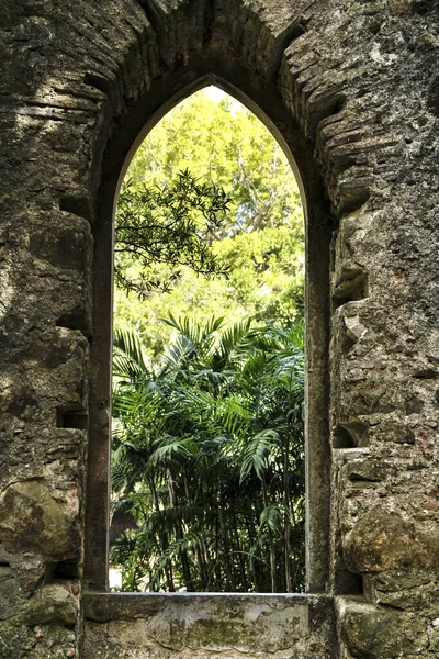 Oude Stenen Ruïnes Van Een Klooster Prachtige Lommerrijke Tuin Van — Stockfoto
