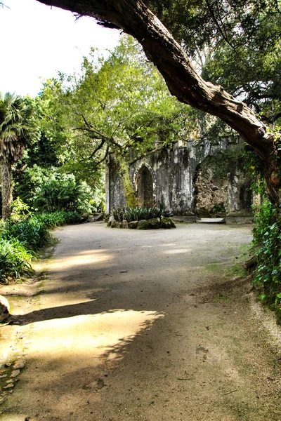Antiguas Ruinas Piedra Convento Hermoso Jardín Frondoso Monserrate Sintra Portugal — Foto de Stock