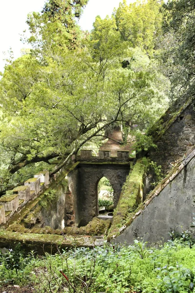 Antiguas Ruinas Piedra Hermoso Jardín Frondoso Sintra Portugal — Foto de Stock