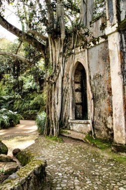Portekiz, Sintra 'daki Monserrate' nin güzel yapraklı bahçesindeki bir manastırın antik taş kalıntıları.